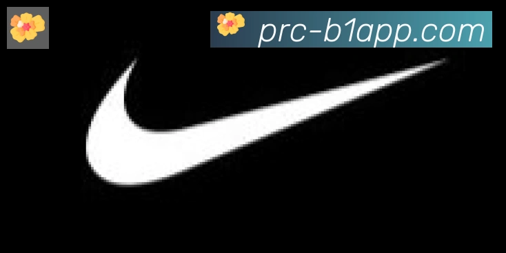 B体育合作伙伴